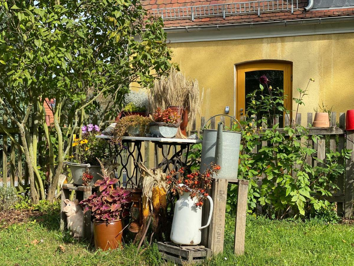Moderne Pension Vonbartsch Mit Ladestation In Der Saechsischen Schweiz Struppen Exteriör bild